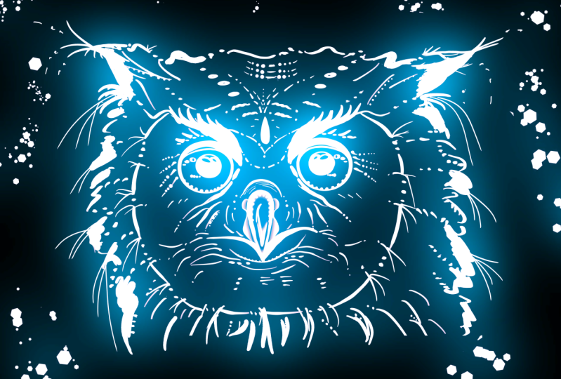 My cat and an owl