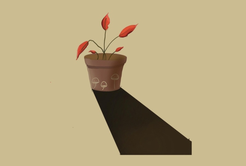 Potted Plant