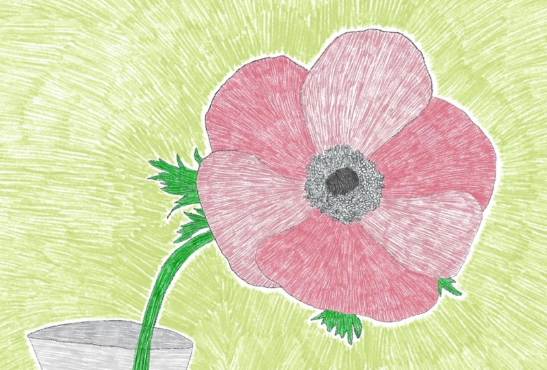 Mindful Colouring