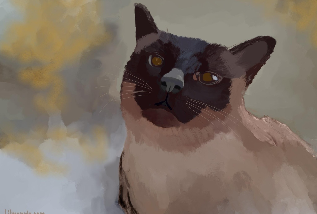 My little project - student project