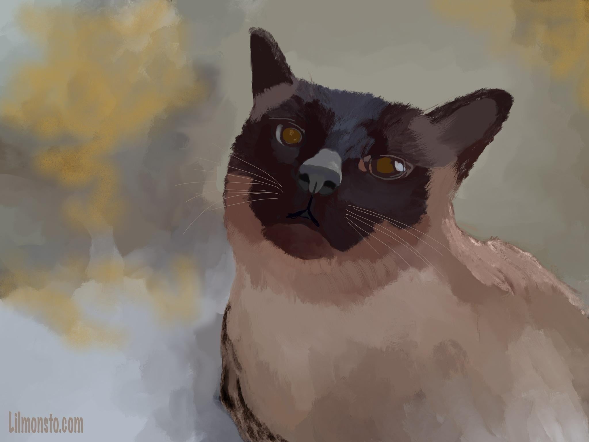 more-projects-from-class-img