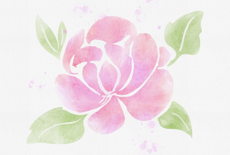 Watercolor florals