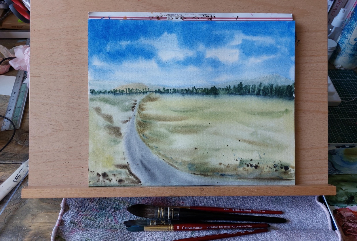 Lush green landscape - student project