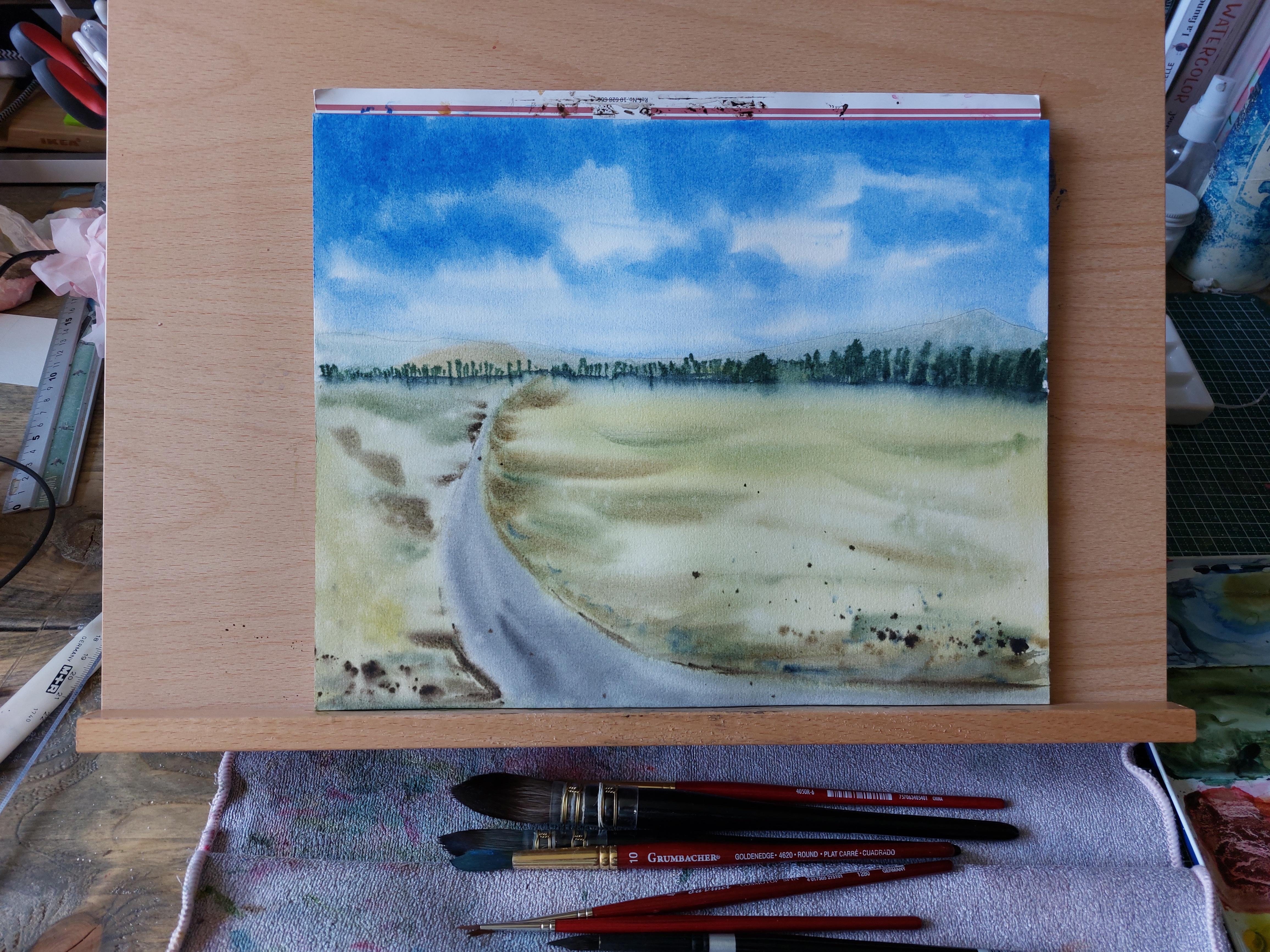 Lush green landscape - student project