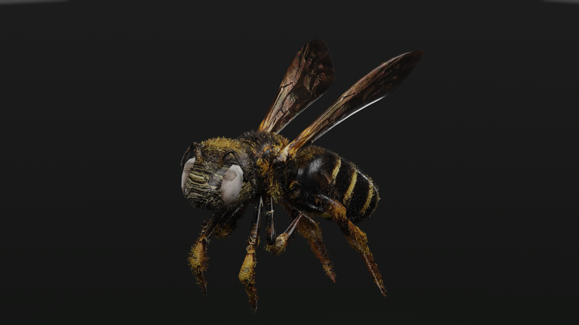 Bee - student project