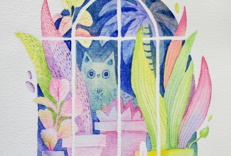 Kitty in the window