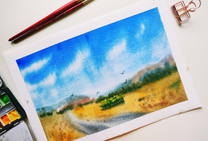 Summer field