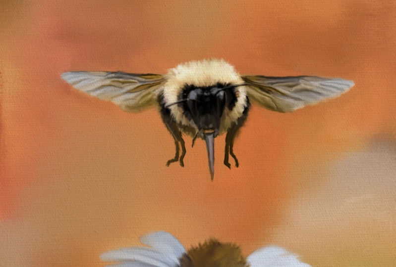 Bee kind