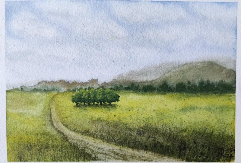 Field Path