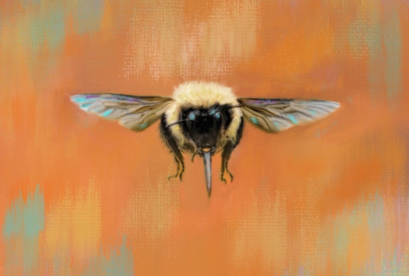 Bumble Bee