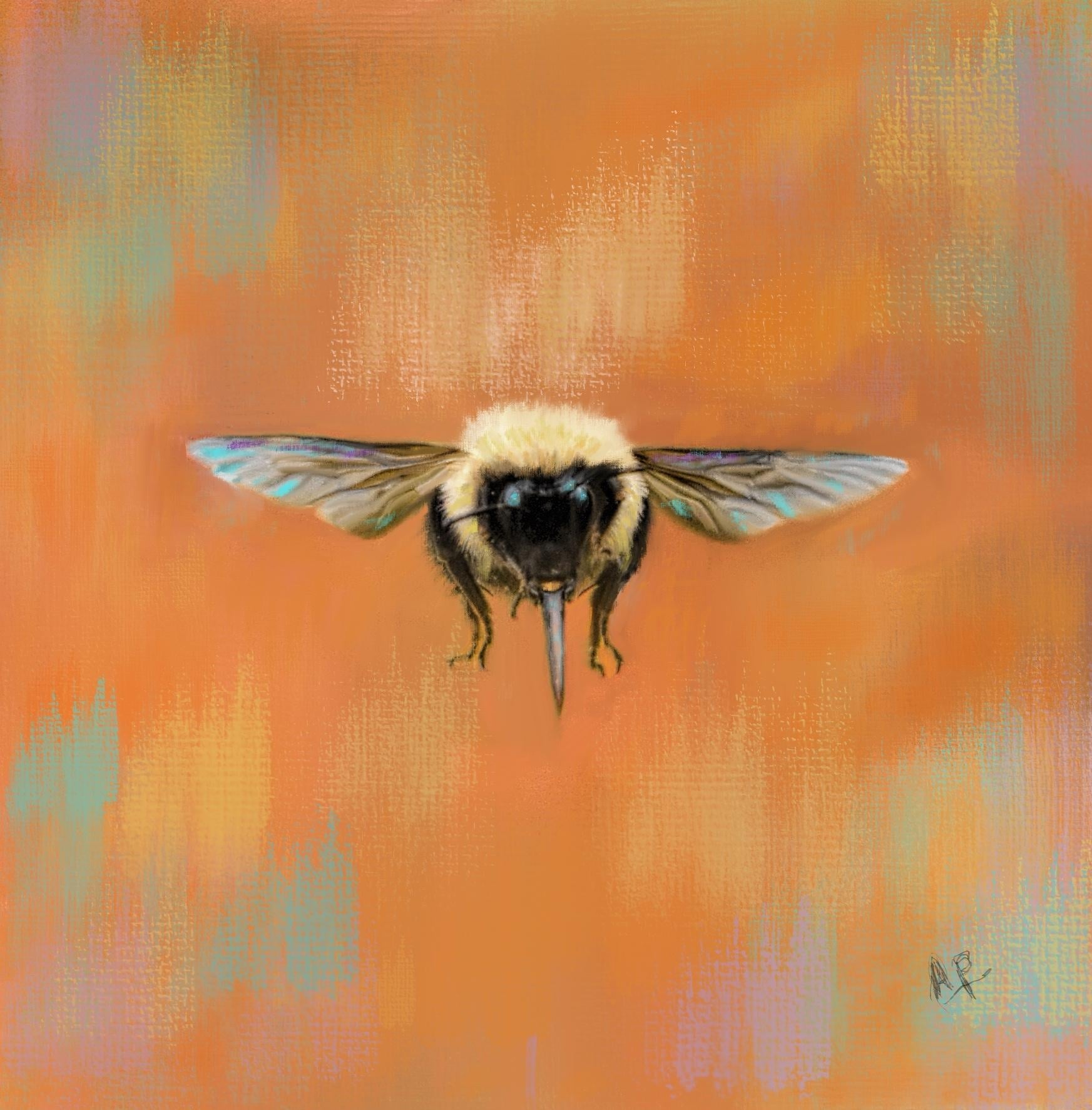Bumble Bee - student project