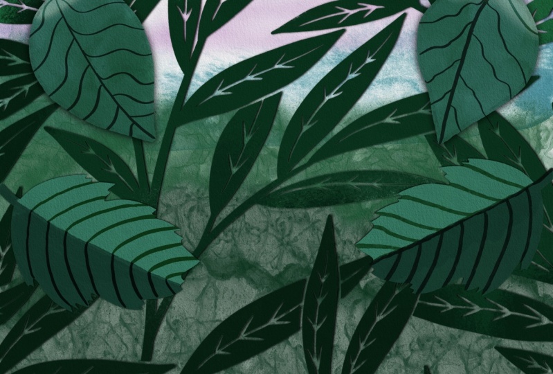 My Plant Project