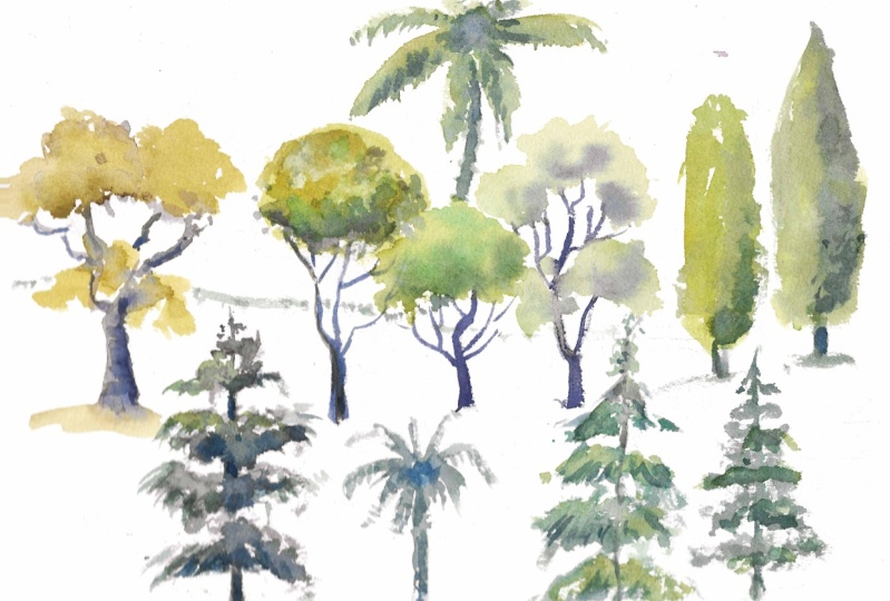 Tree Study 01