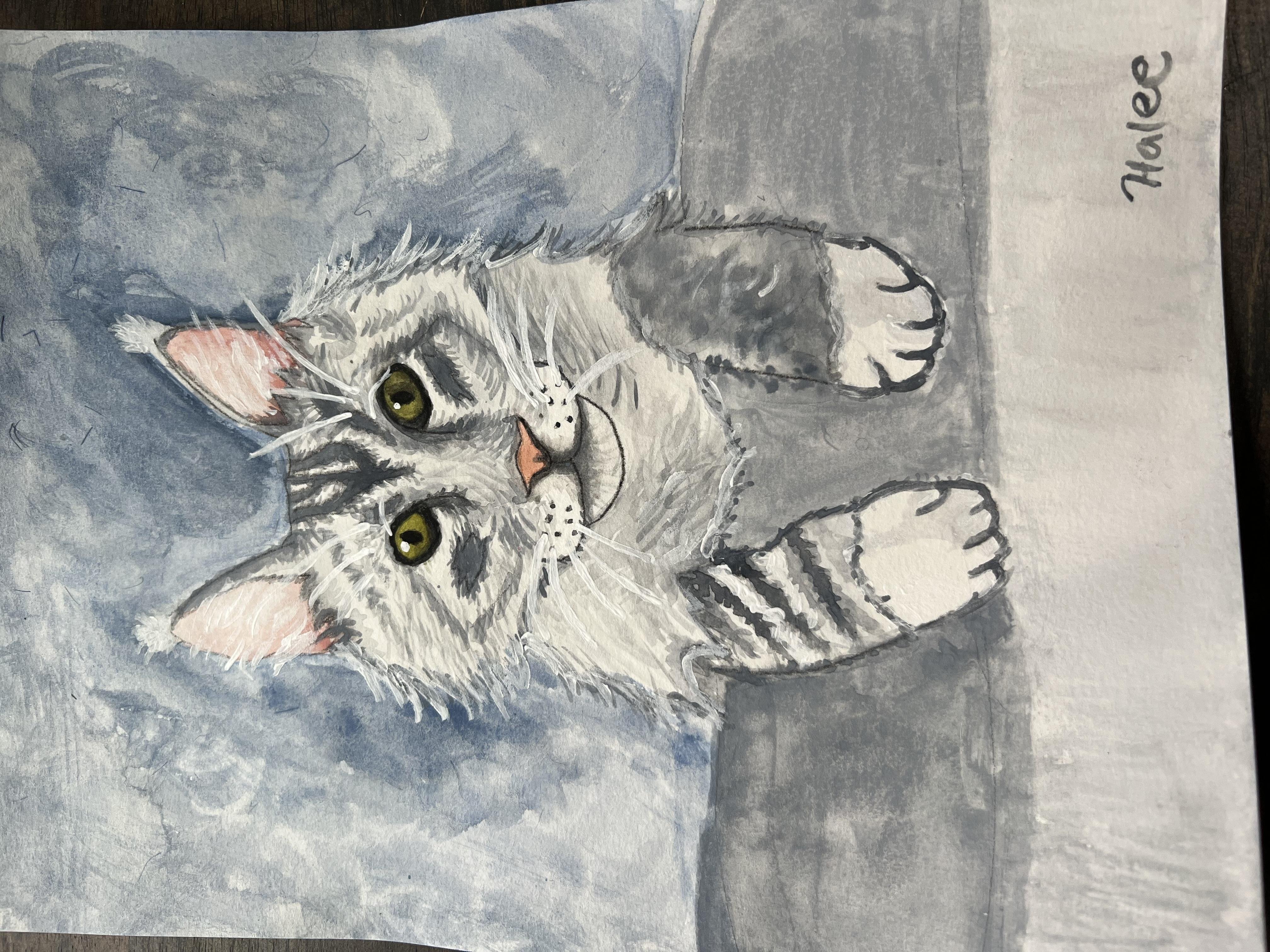 more-projects-from-class-img