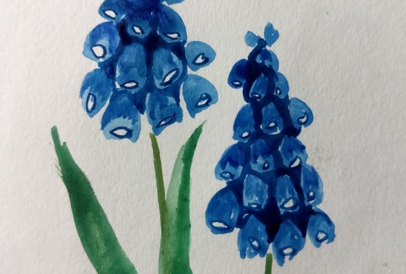 10 days watercolor spring flowers with vinita