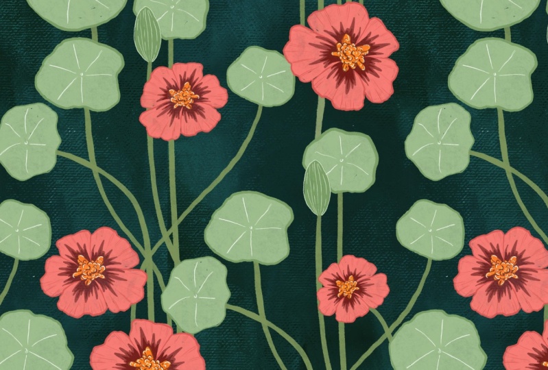 Nasturtium pattern with texture