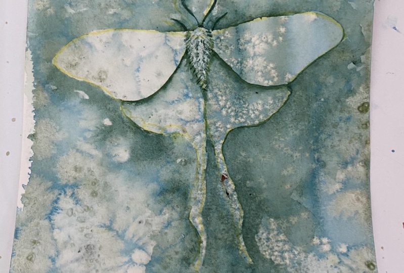 Luna moth using Cascade Green