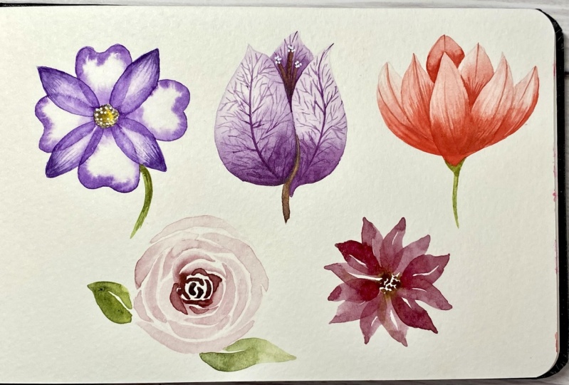Flowers in watercolor