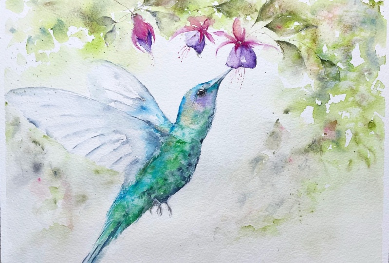 Hummingbird