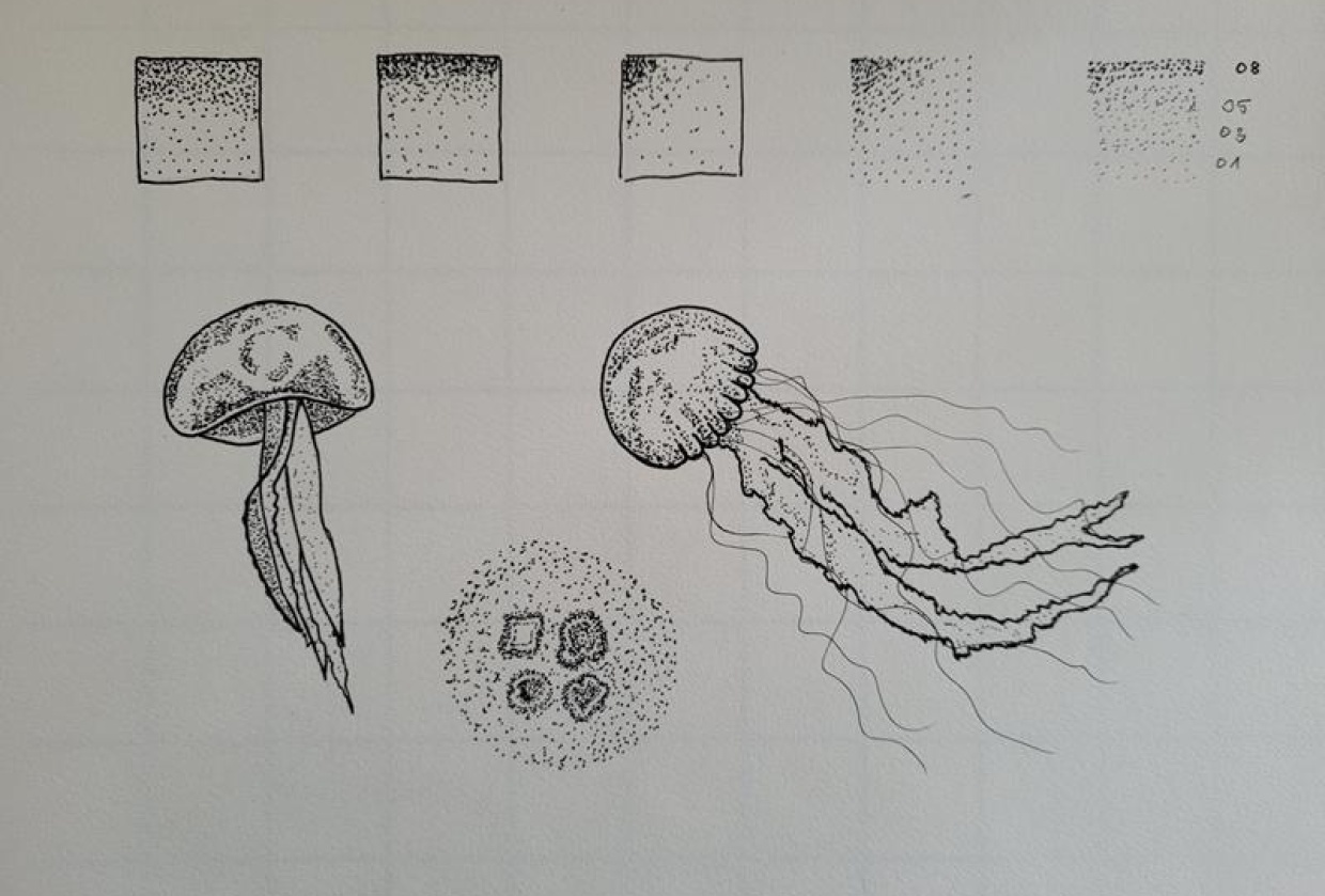 Jellyfish - student project