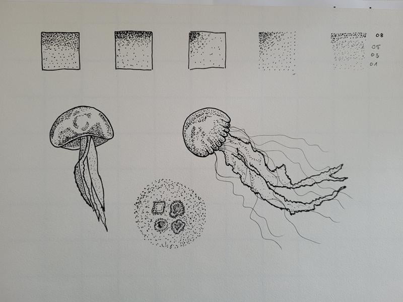 Jellyfish - student project