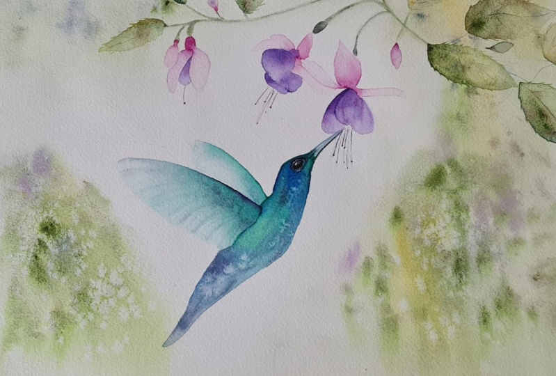 Hummingbird