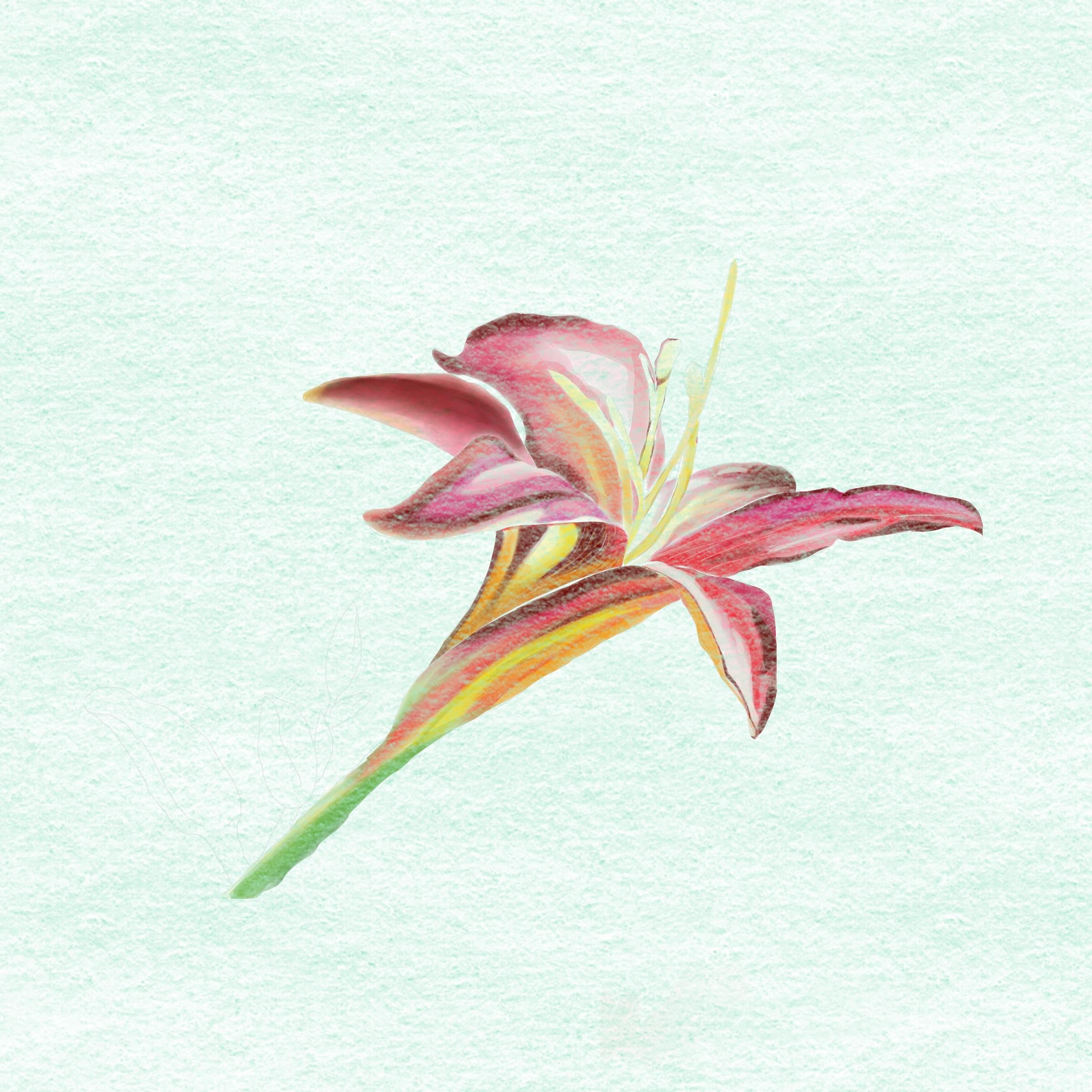 more-projects-from-class-img
