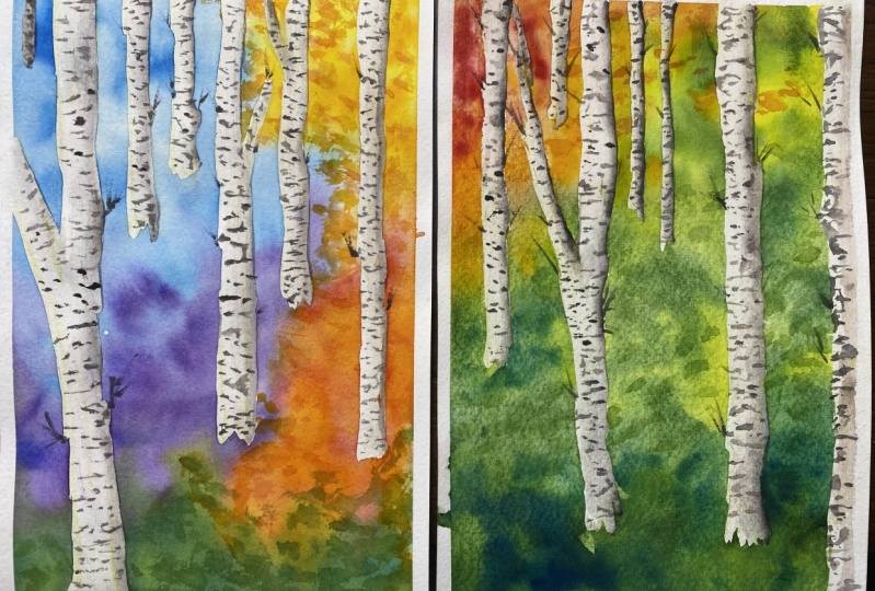 Birch trees