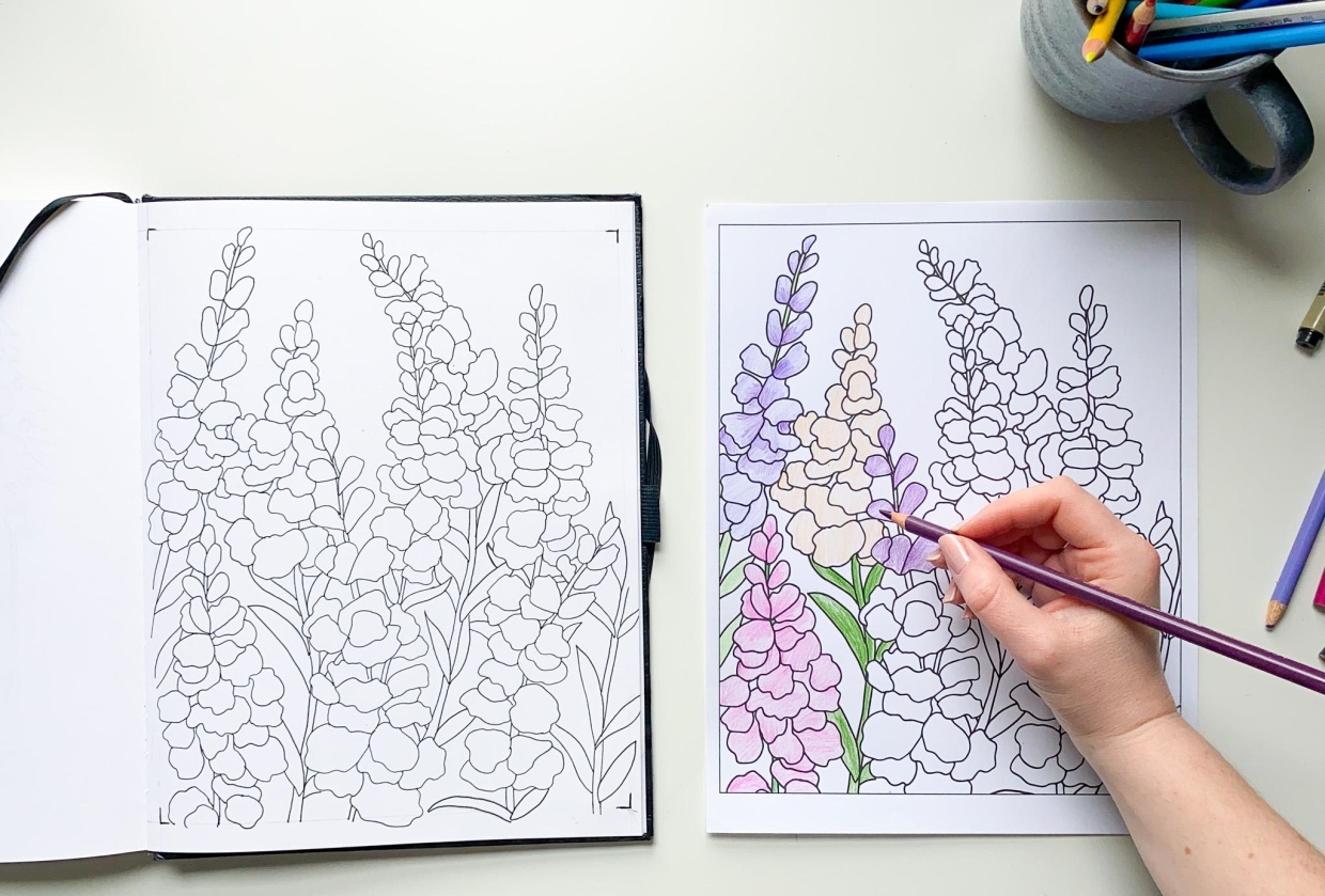 Coloriages gratuits : Personnalisez et imprimez avec Storyboard That, image size:1240x839