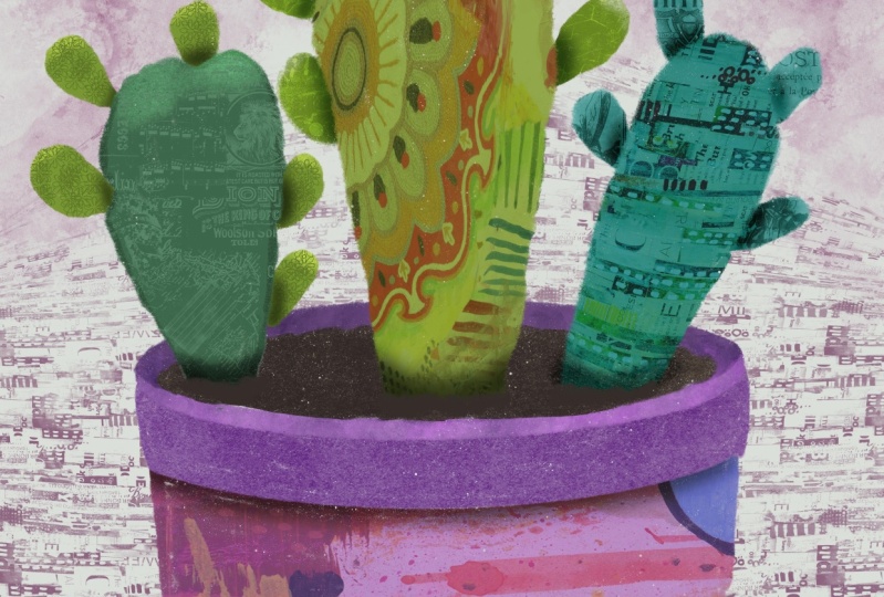 My Crazy Cacti