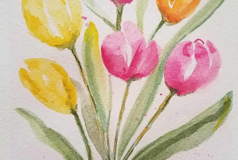 Tulip0518