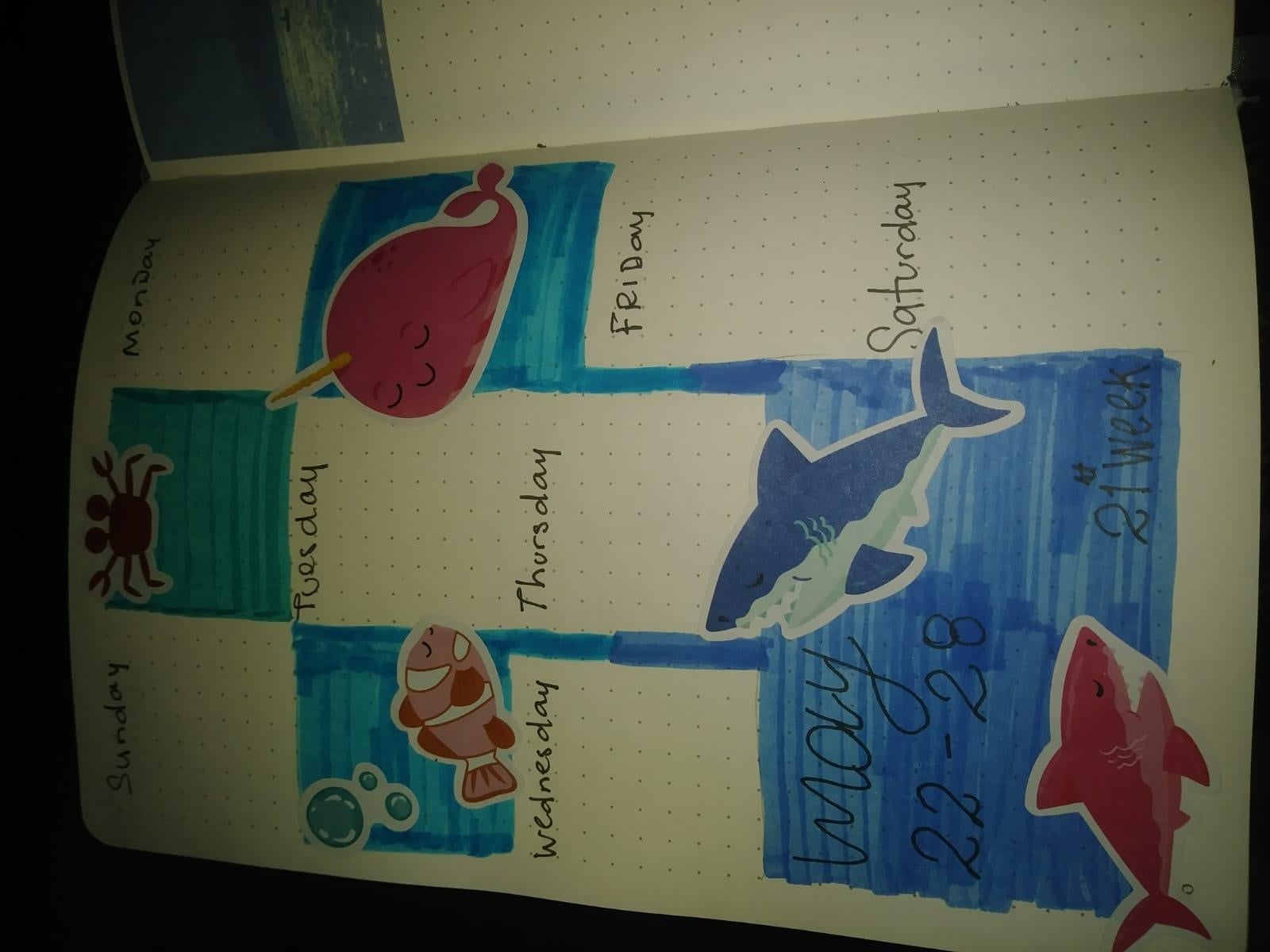 more-projects-from-class-img