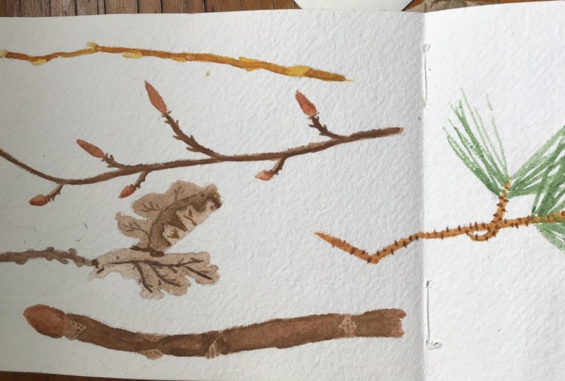 Twigs with dimension