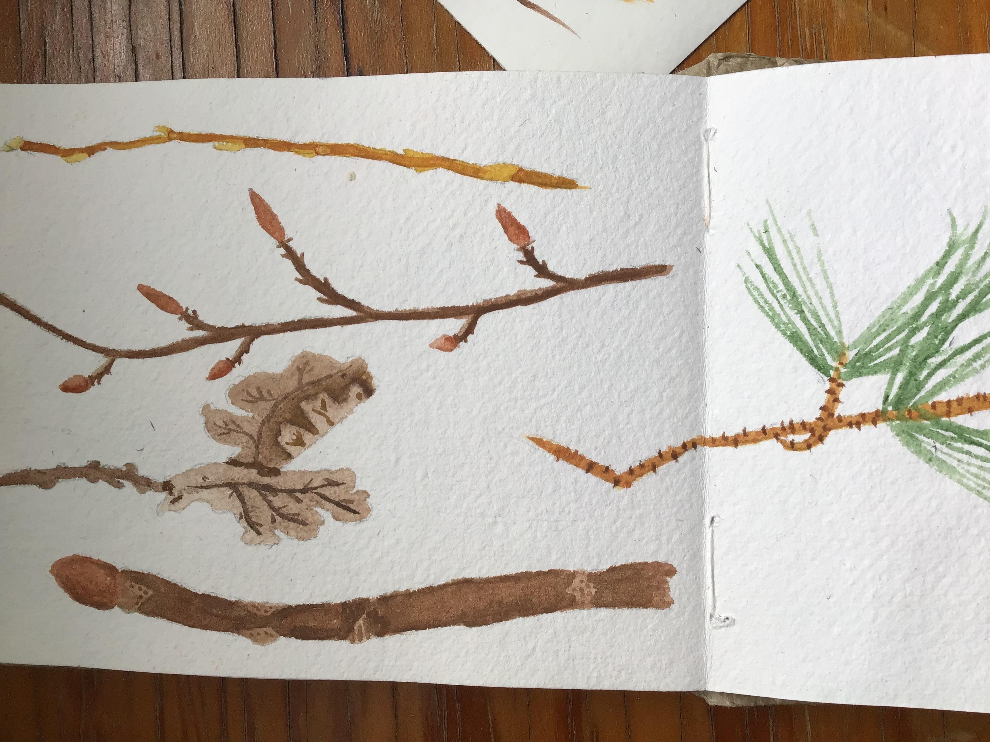 more-projects-from-class-img