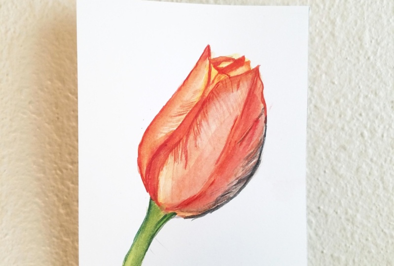 Watercolor Florals for Beginners: Exploring Depth, Color, and Details