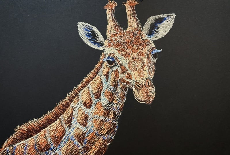 Giraffe :)