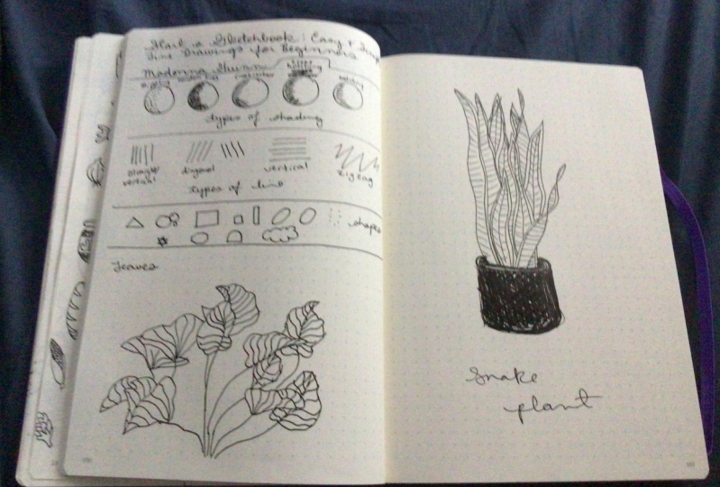 Snake Plant