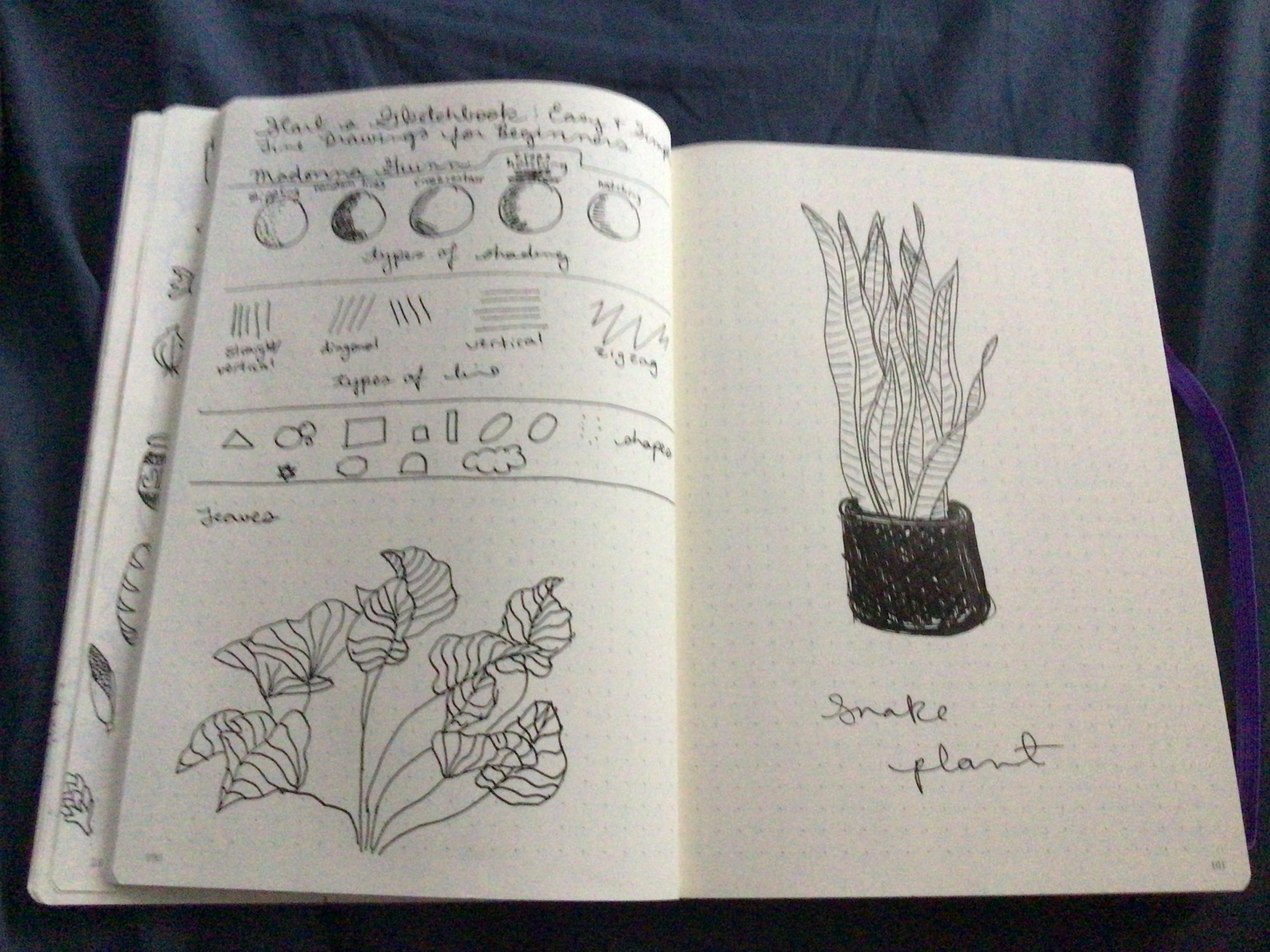 more-projects-from-class-img