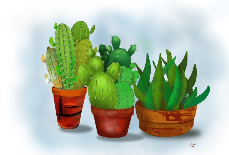 Cactus
