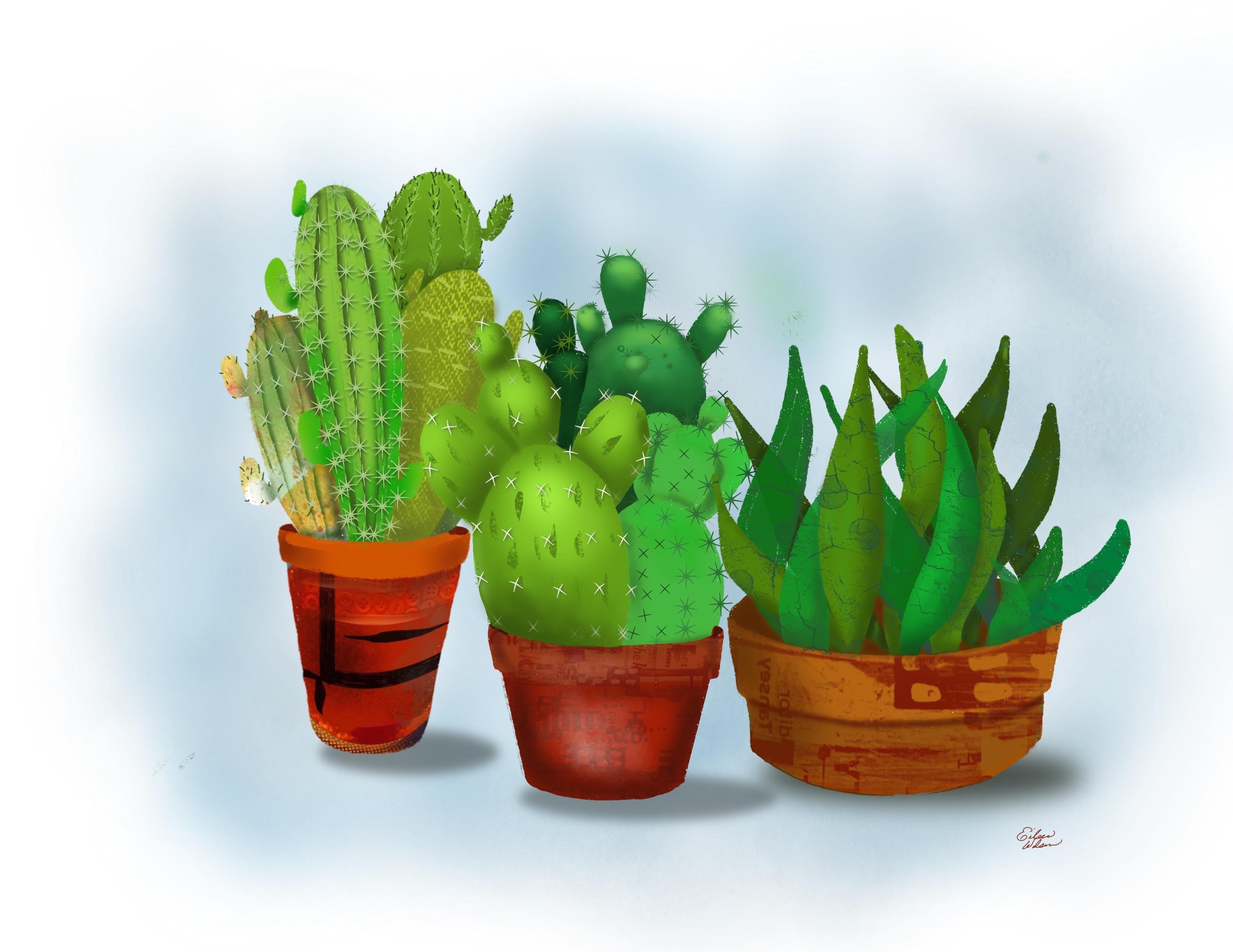 Cactus - student project