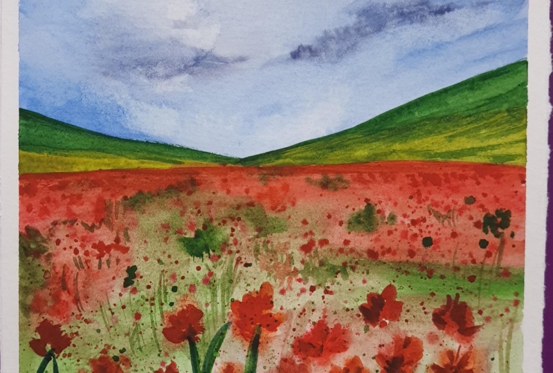 Spring flower fields