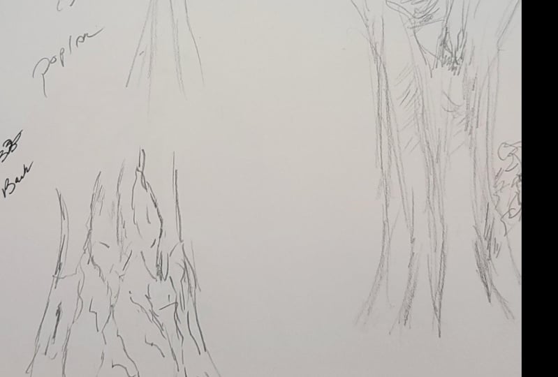 Bark