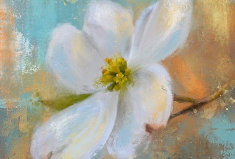 Dogwood Flower