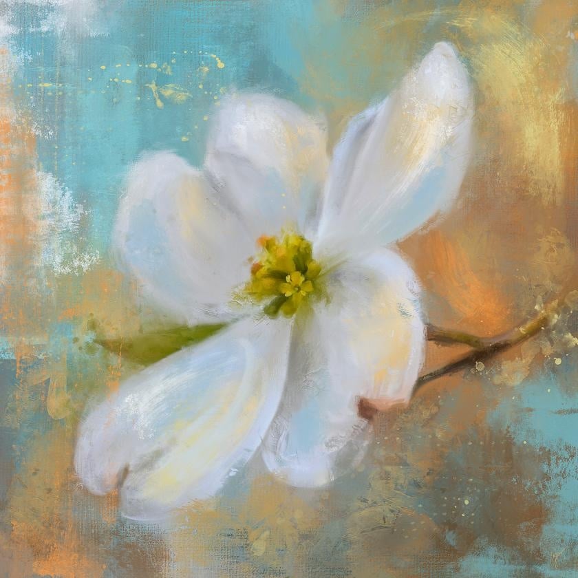 Dogwood Flower - student project