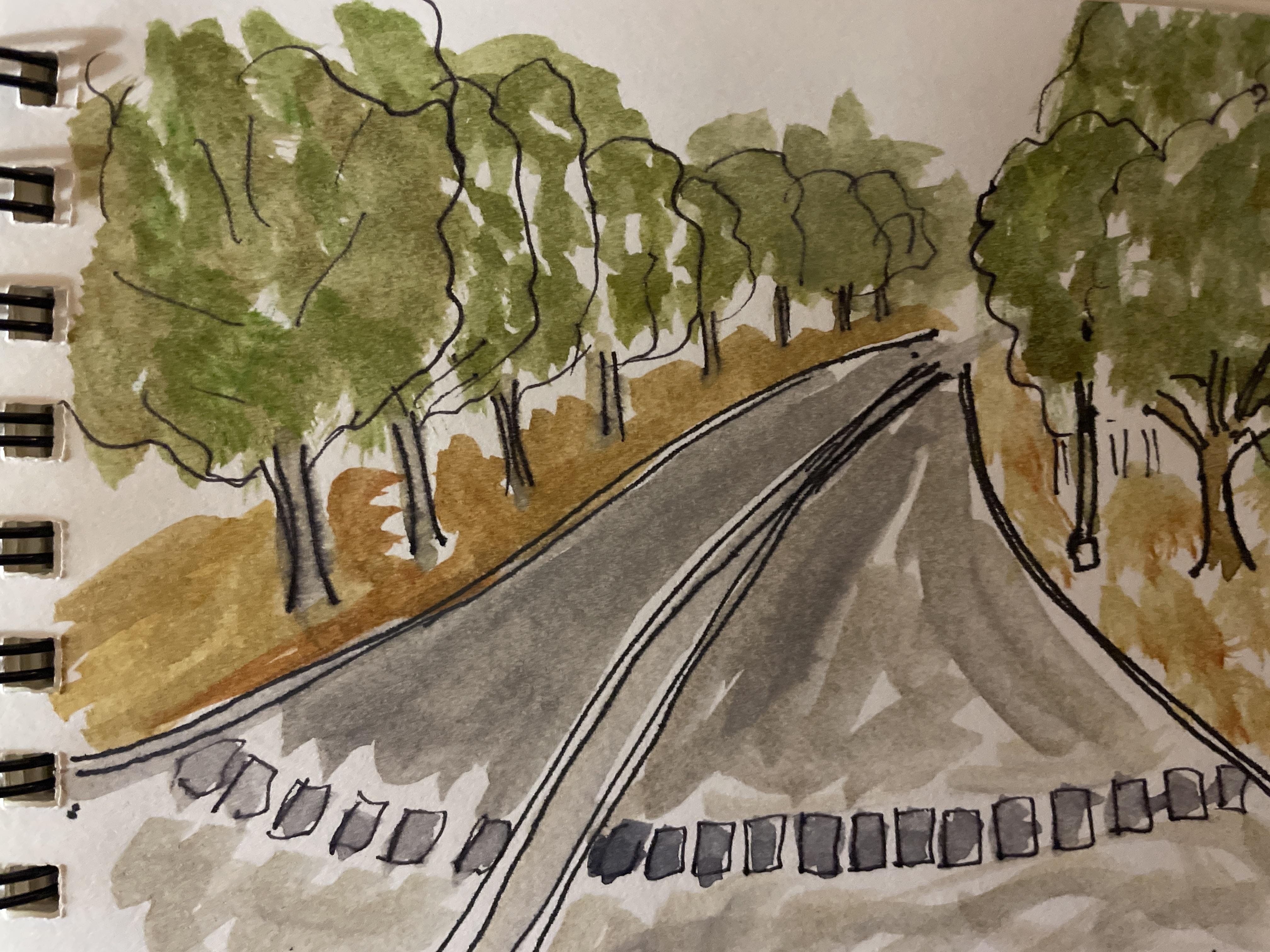 Path - student project