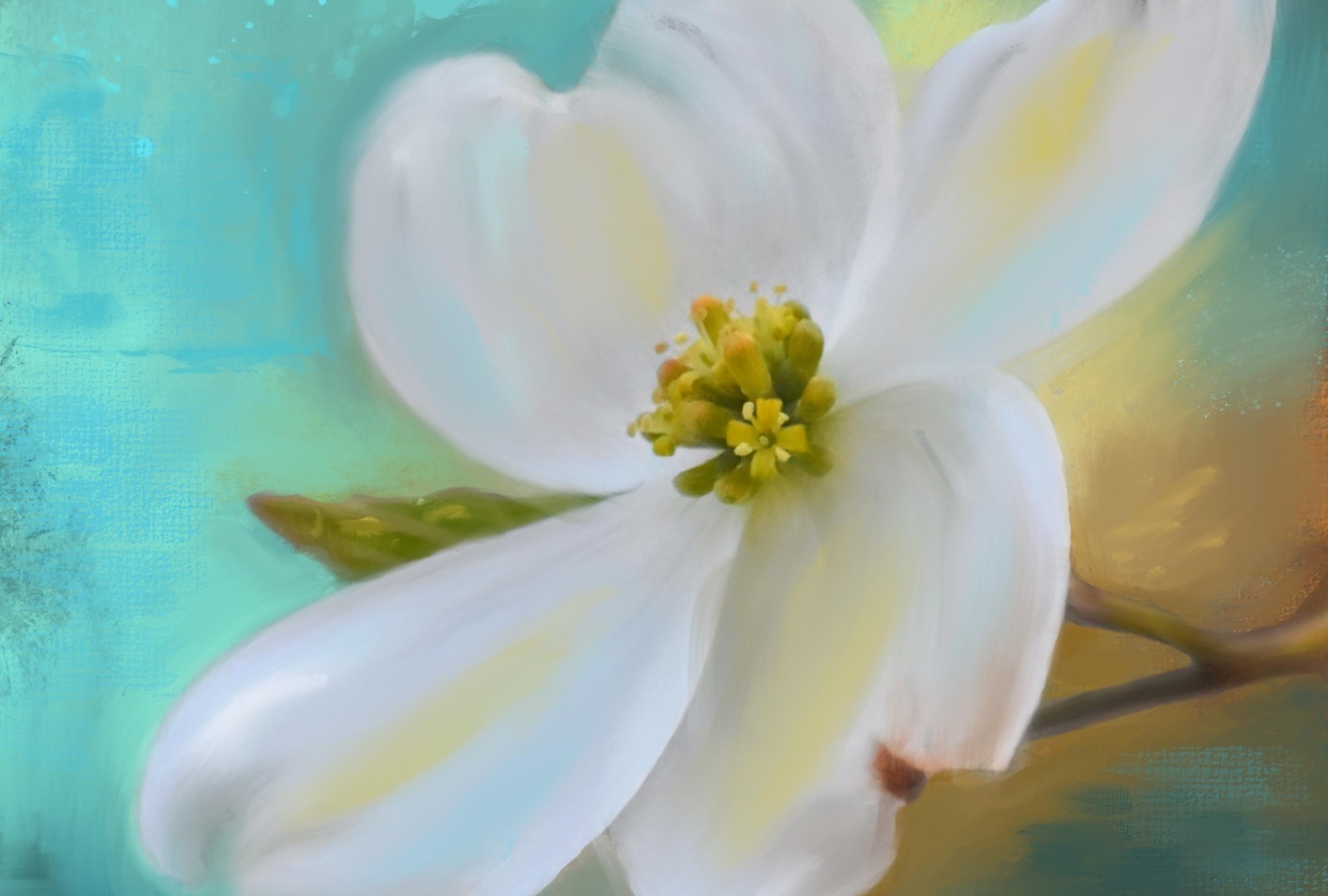 Painting expressive dogwood flower - student project