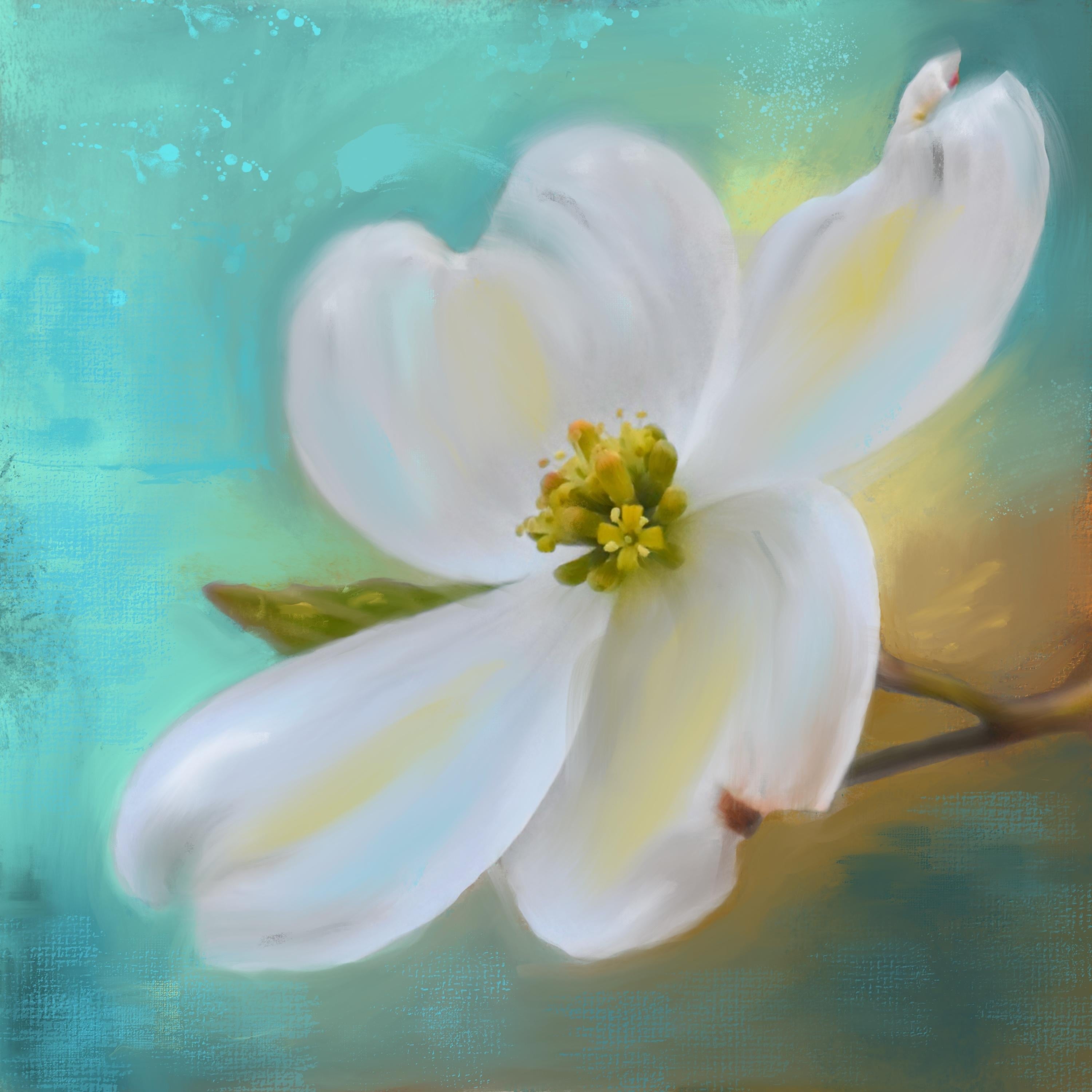 Painting expressive dogwood flower - student project