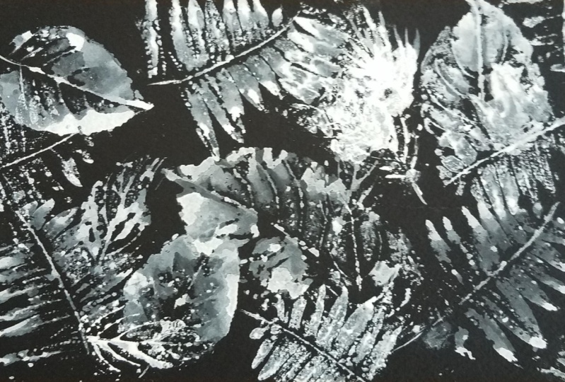 Leaf print