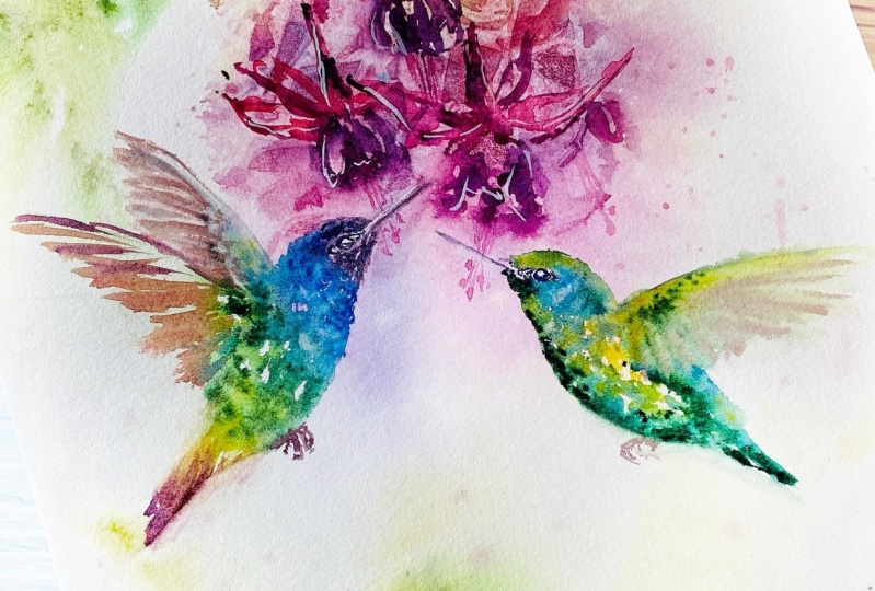 Hummingbird and Fuchsia Flowers