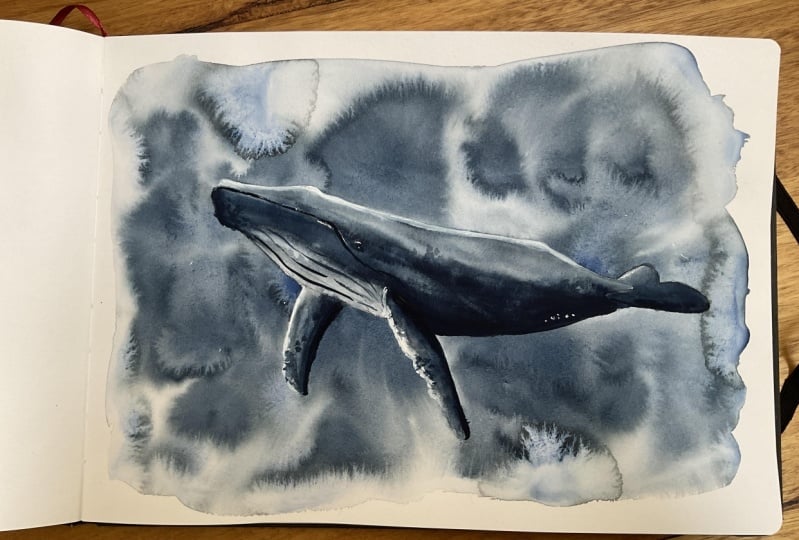 Whale